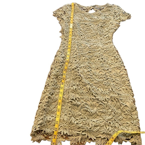 Lulus Romance Language Sage Green Backless Lace Dress NWT Size Small - Picture 5 of 10